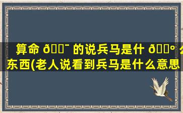 算命 🐯 的说兵马是什 🌺 么东西(老人说看到兵马是什么意思)